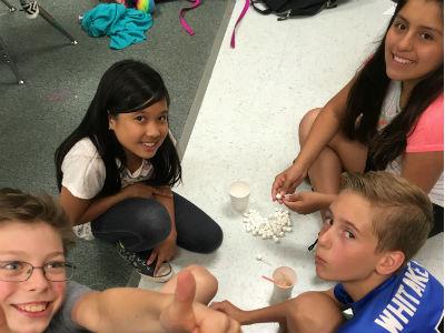 photo of students building with marshmallows and toothpicks