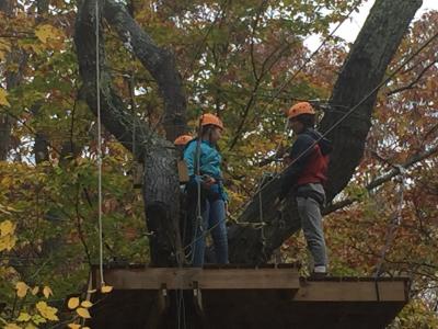 photo of students standing on platform high in trees
