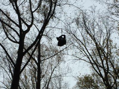 photo of student hanging by wires and platform in trees